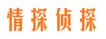 宜昌找人公司